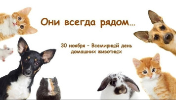 День домашних животных День домашних животных.