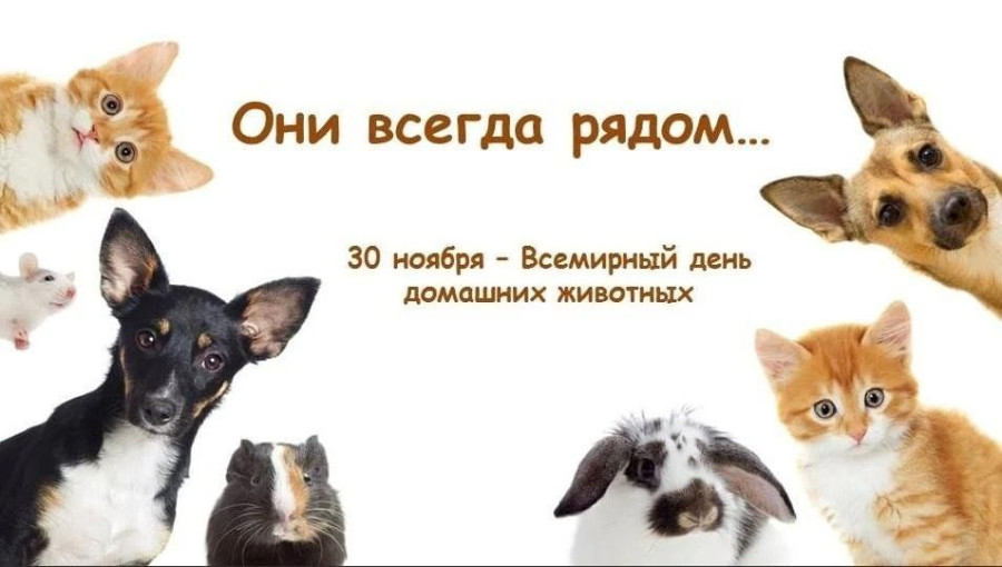 День домашних животных День домашних животных.